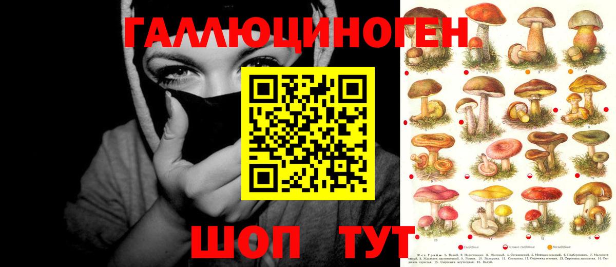 Псилоцибиновые грибы ЛСД Благовещенск