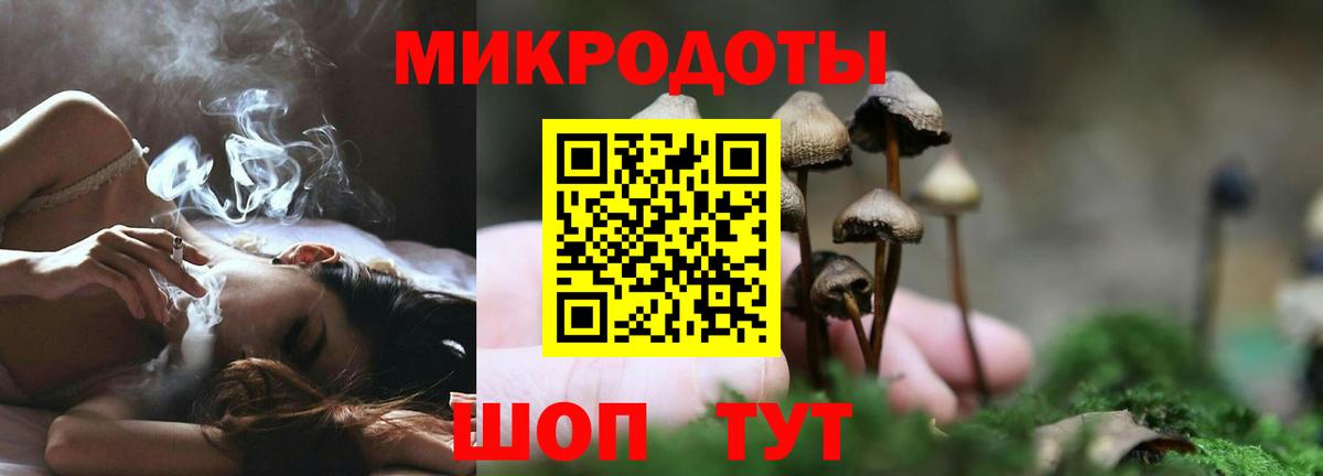 сколько стоит  Псилоцибиновые грибы мухоморы  Псилоцибиновые грибы Cubensis  Вход с VPN  Благовещенск 